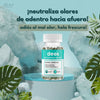 DEOS™ – Desodorante Natural Interno